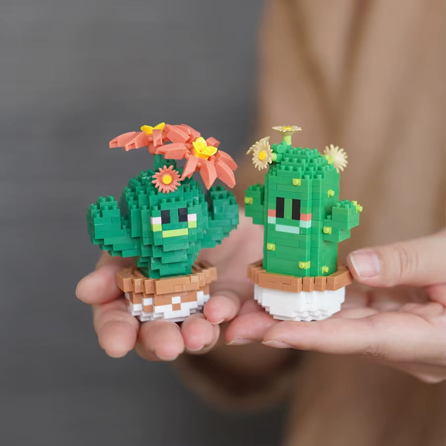 DIY Mini Cactus Block Set
