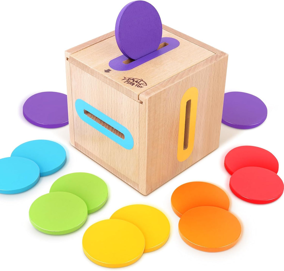 Montessori Toys for Toddlers 1-3 Color Sorting Wooden Object Permanence Box | Fine Motor Stacking Learning Matching Game for Toddlers 1 2, Educational Preschool Birthday Gift for 12-18 Month Boys Girls