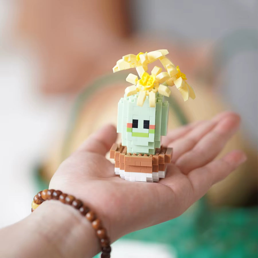 DIY Mini Cactus Block Set