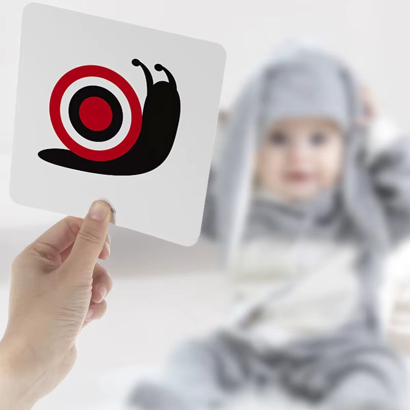 Montessori Black & White Flash Cards
