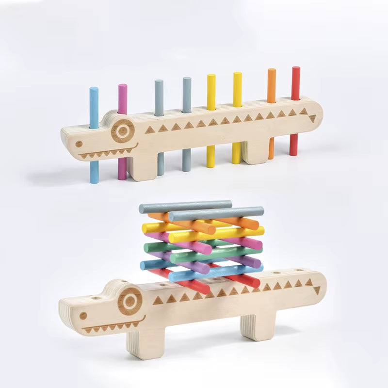 Montessori Color Matching Puzzle