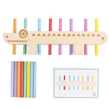 Montessori Wooden Color Matching Puzzle
