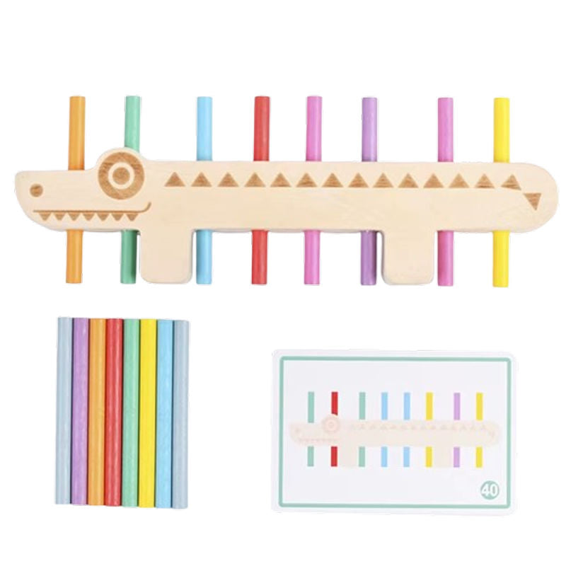 Montessori Wooden Color Matching Puzzle