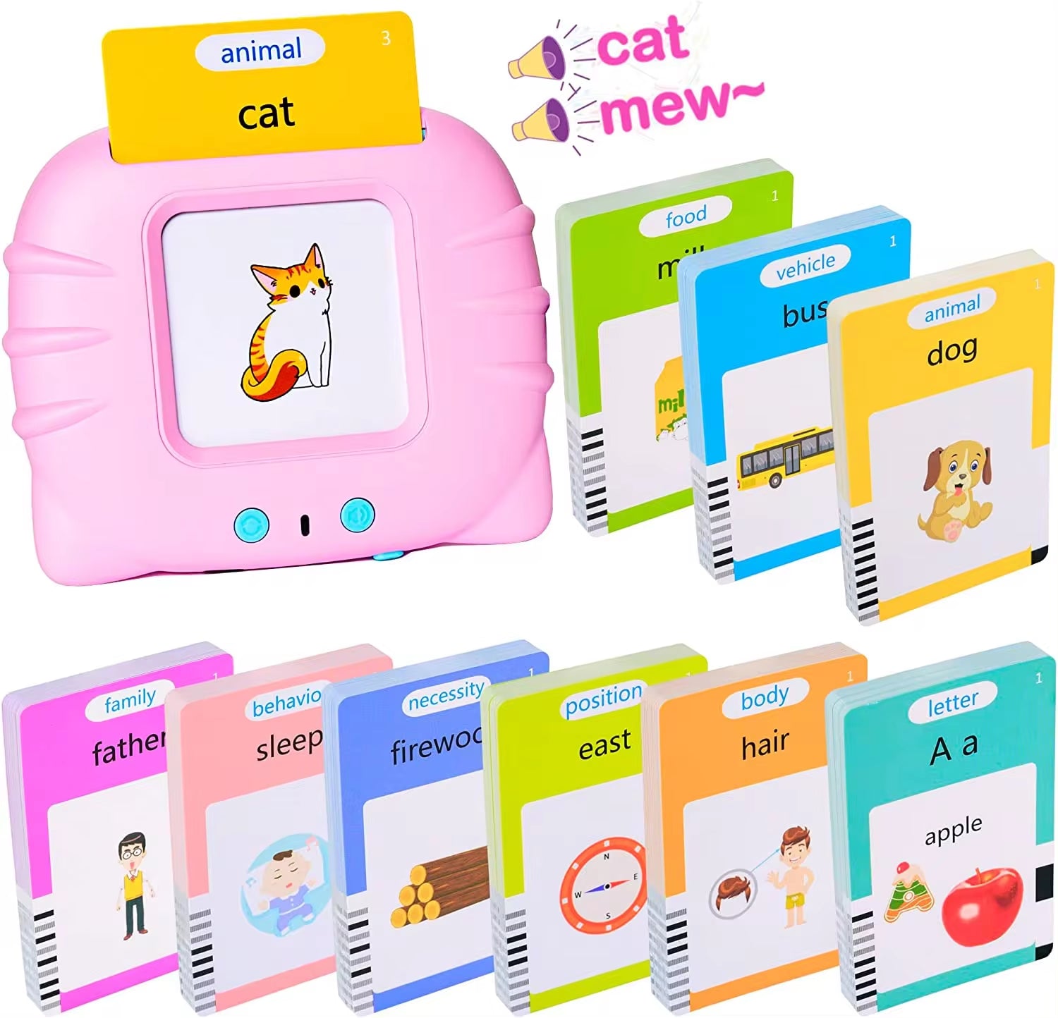Talking Educational Flash Cards