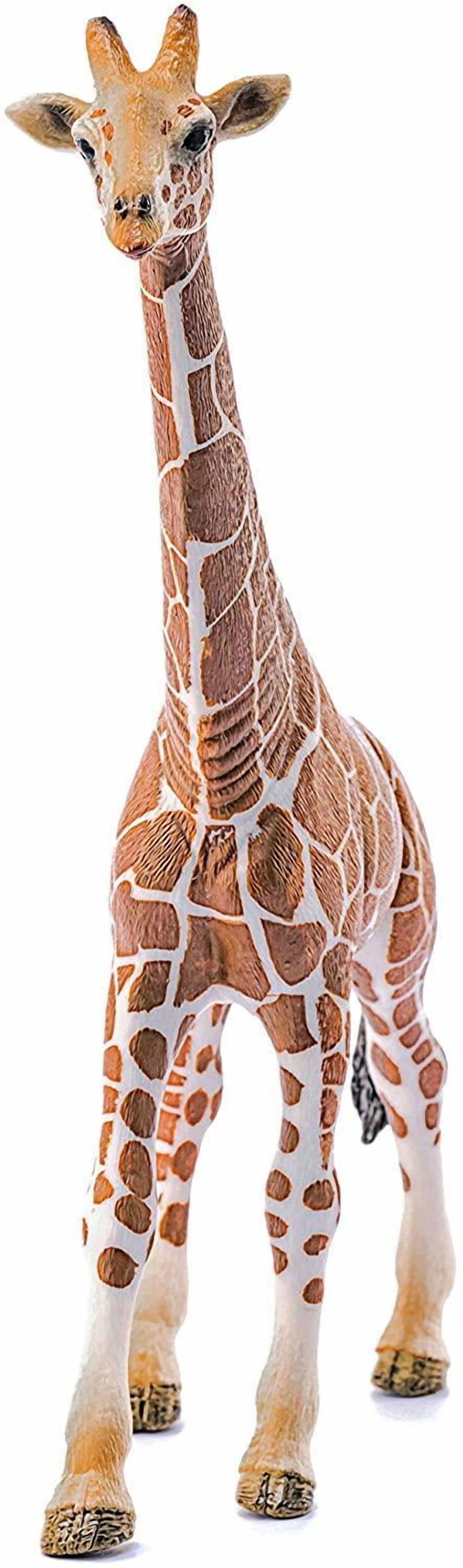 Schleich Wild Life - Realistic Male Giraffe Animal Figurine - Kids Ages 3+