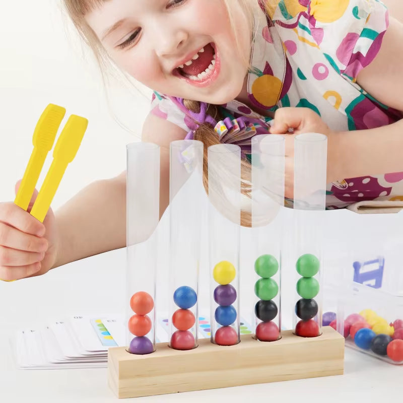 Wooden Beads Sorting Toy